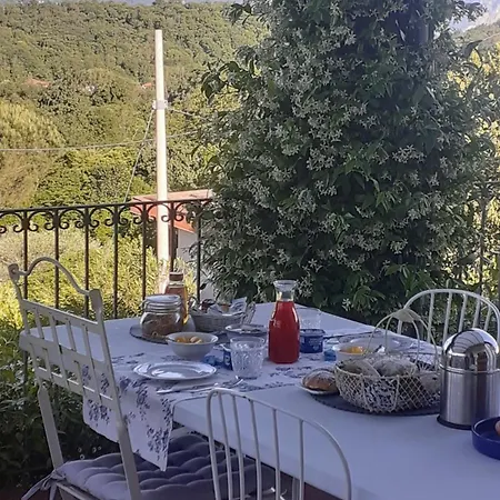 Couette-café La Civetta