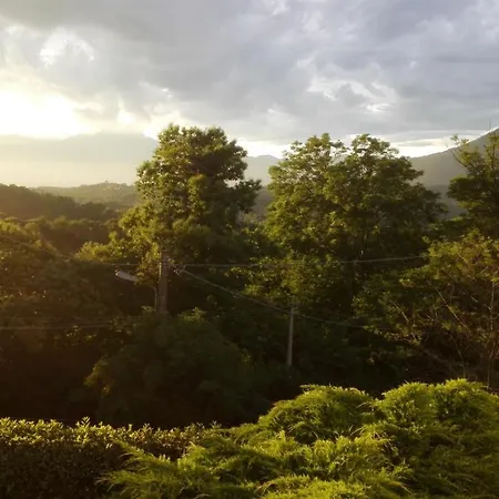 La Civetta Bed and Breakfast