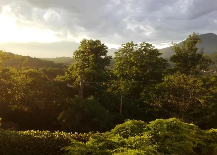 La Civetta Bed & Breakfast